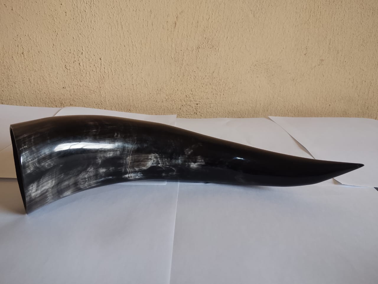 Furnished Cow Horn
