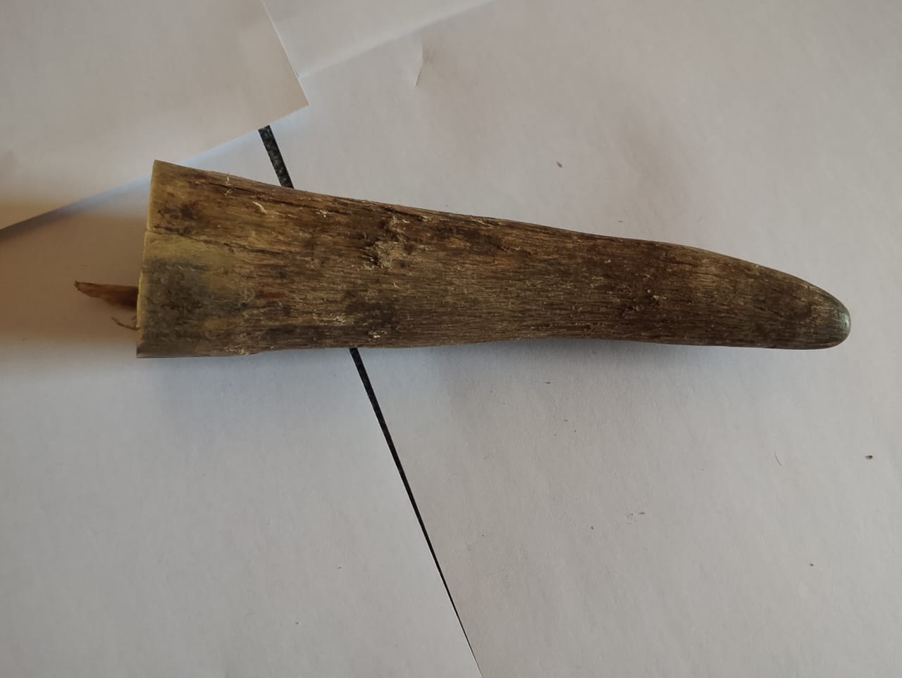 Horn